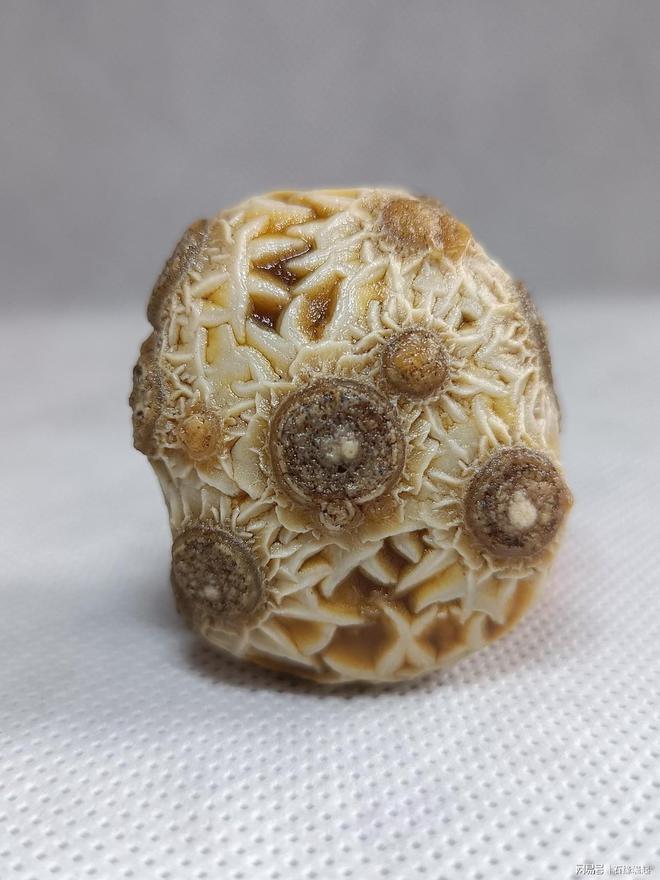 皇山奇石介紹了那些奇石_奇石鑒定_什么什么的奇石