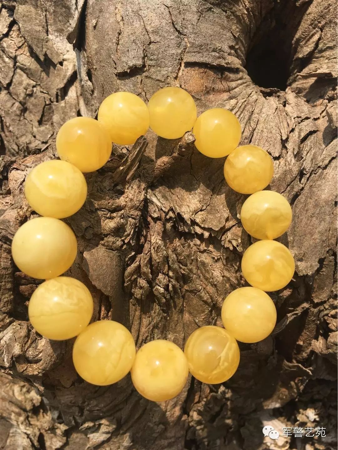 蜜蠟是帶白花好還是純黃好_蜜蠟黃白花是啥料_白花蜜蠟和黃蜜蠟哪個好