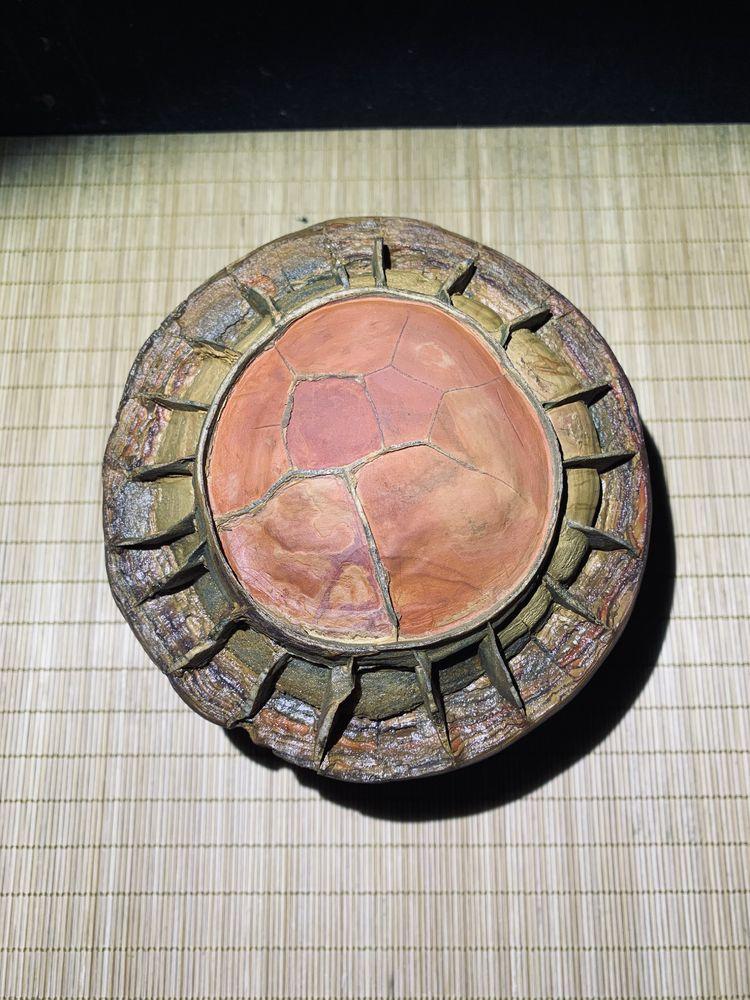 龜紋石奇石收藏價格_龜紋石奇石_龜紋石頭