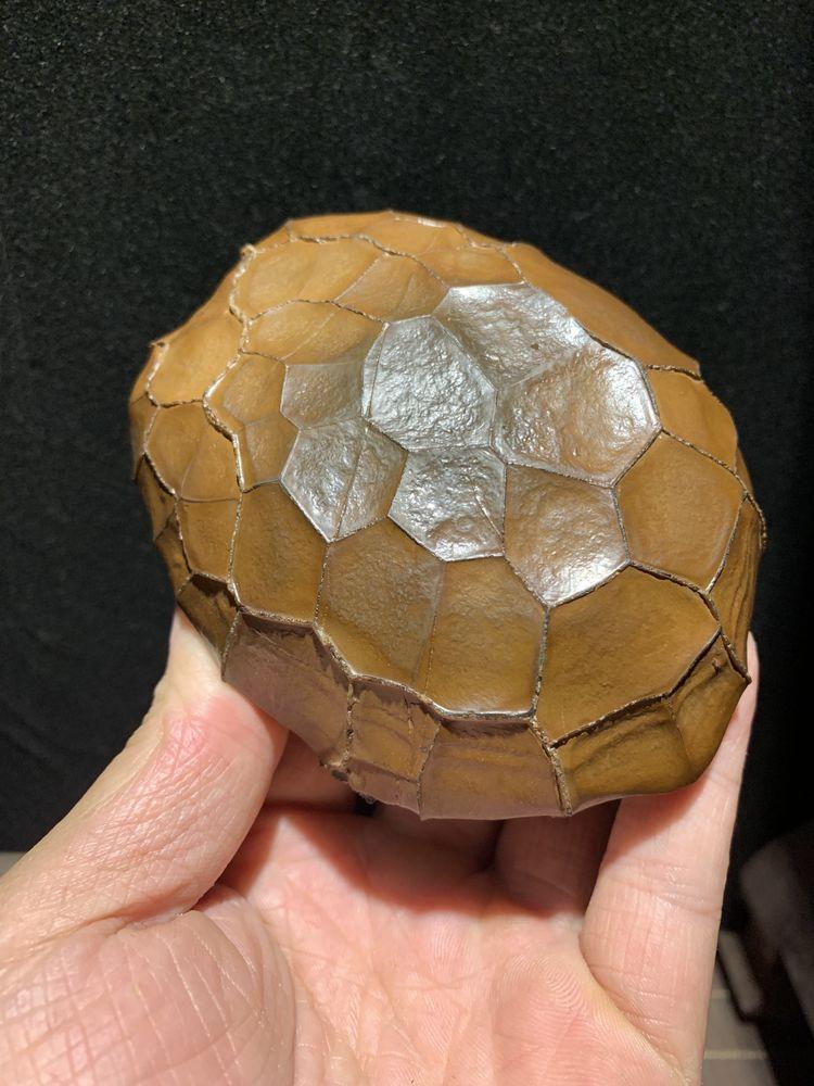 龜紋石頭_龜紋石奇石_龜紋石奇石收藏價格