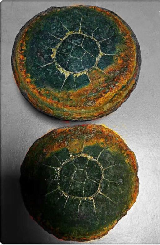 龜紋石頭_龜紋石奇石收藏價格_龜紋石奇石