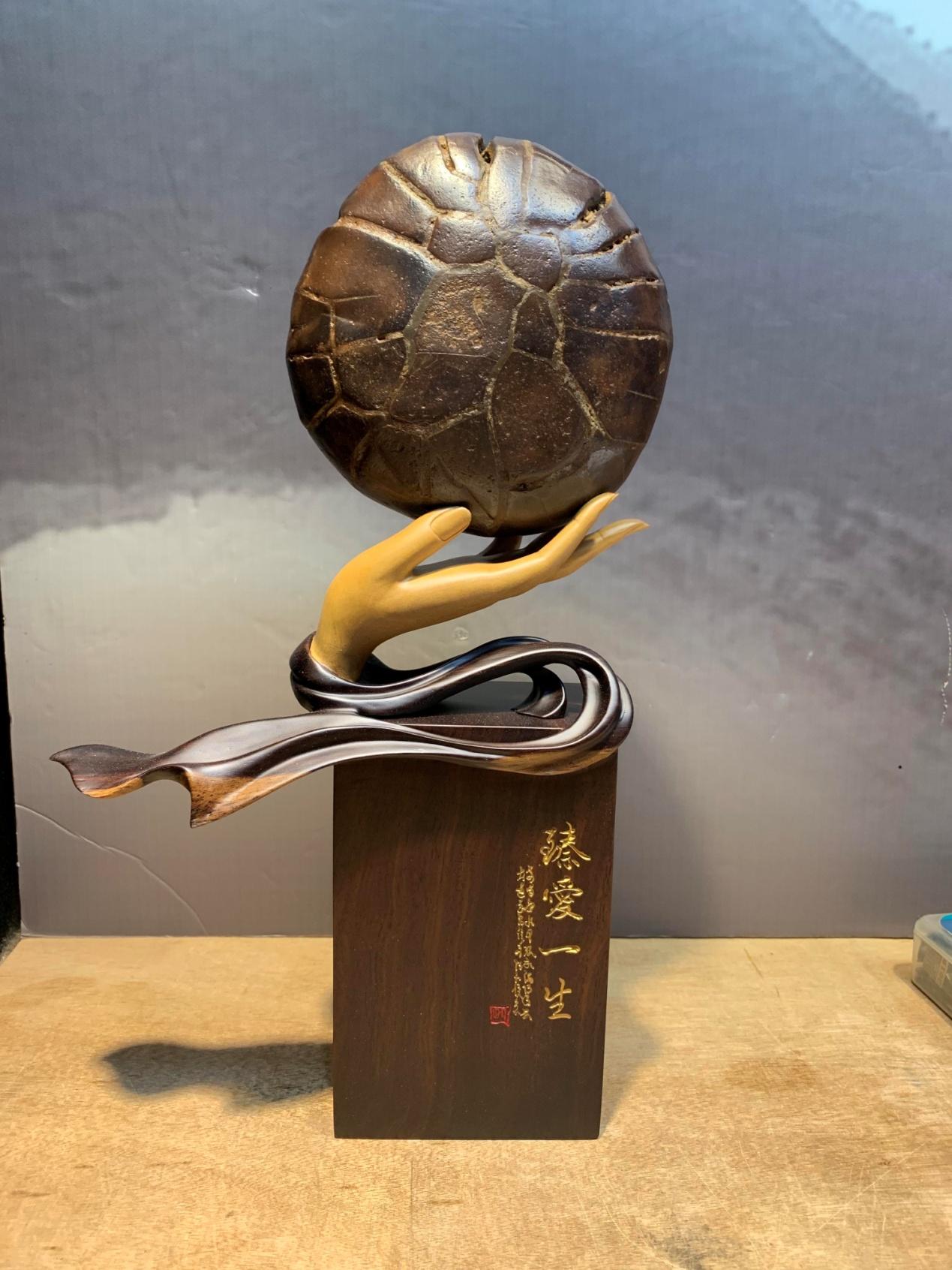 龜紋石頭_龜紋石奇石收藏價格_龜紋石奇石