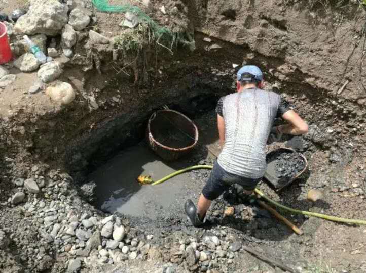 龜紋石奇石收藏價格_龜紋石奇石_龜紋石頭