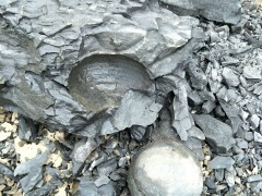 郴州龜紋石的成因及分類