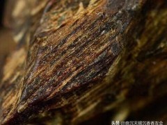 海南奇楠沉香的霸氣讓香友日思夜想