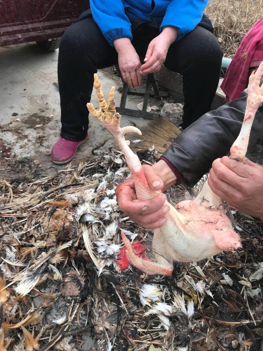 雞爪子文玩_雞爪子文玩怎么配裝飾_文玩雞爪子有什么寓意