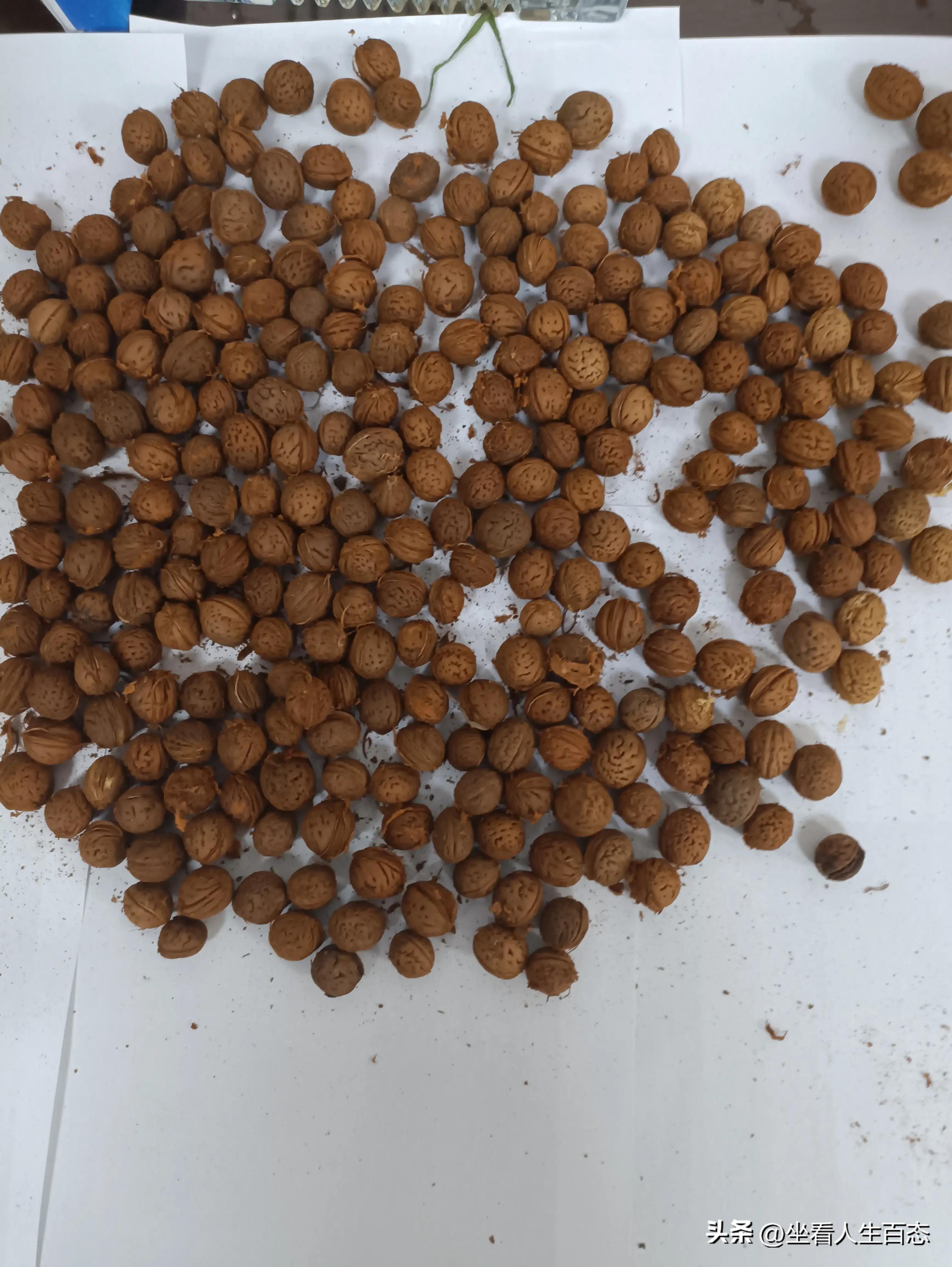 穿手串_手串穿多少個珠子最好_手串穿幾個珠子最好