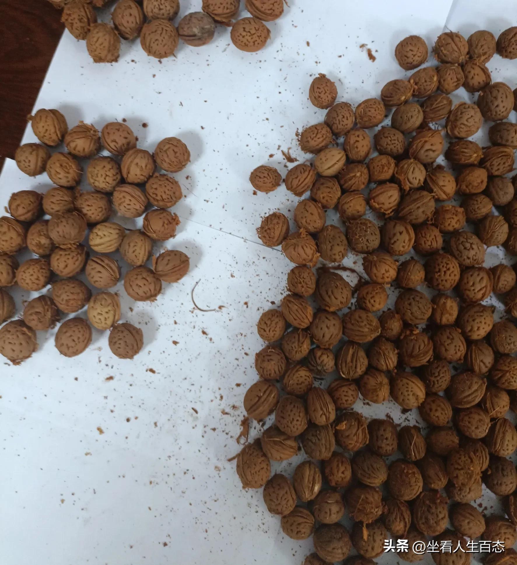 手串穿幾個珠子最好_穿手串_手串穿多少個珠子最好