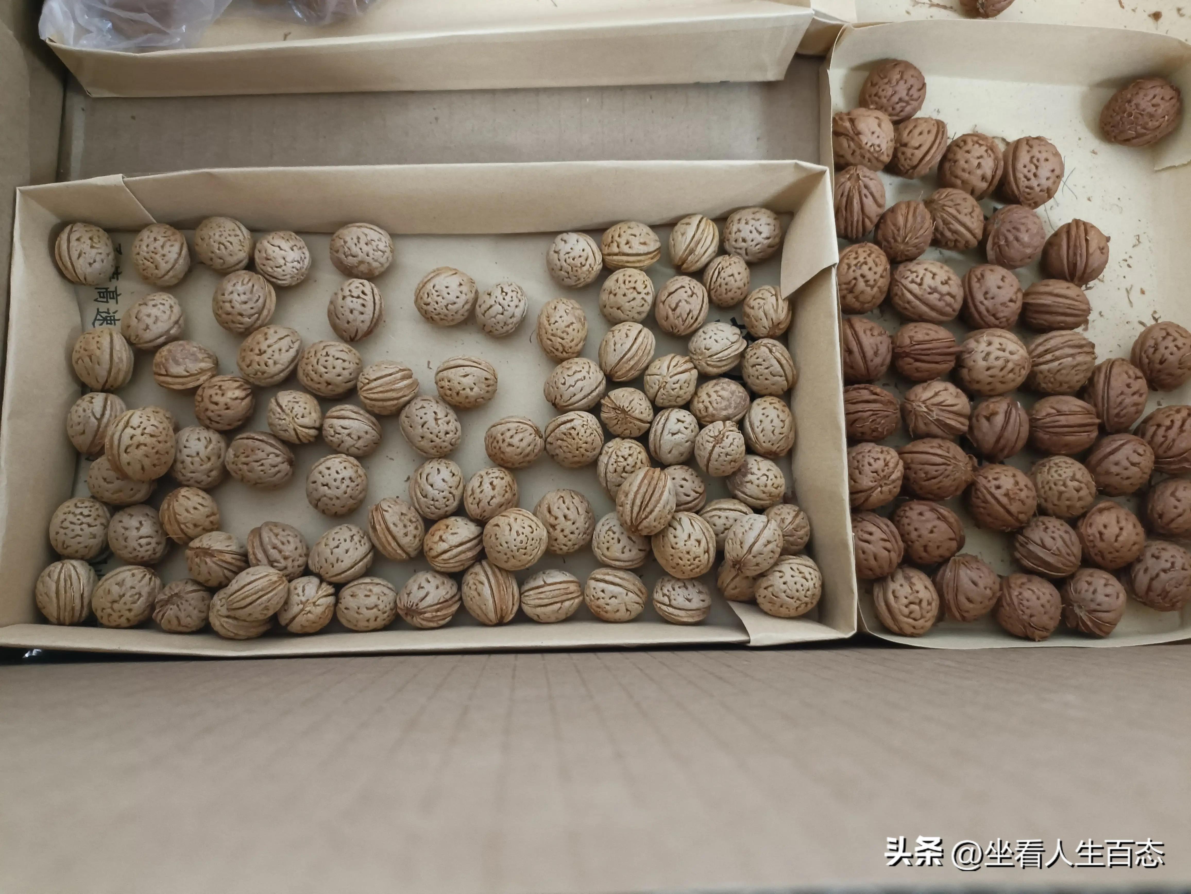 穿手串_手串穿多少個珠子最好_手串穿幾個珠子最好