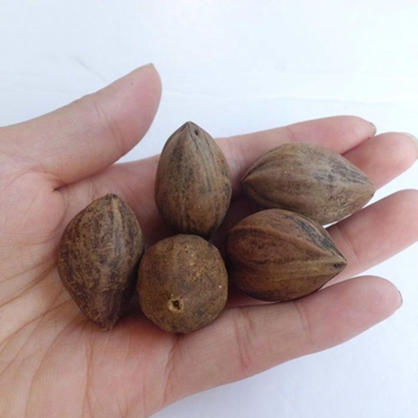 橄欖核手串編織繩穿法_橄欖核手串怎么穿繩打結(jié)_橄欖核手串怎么穿繩