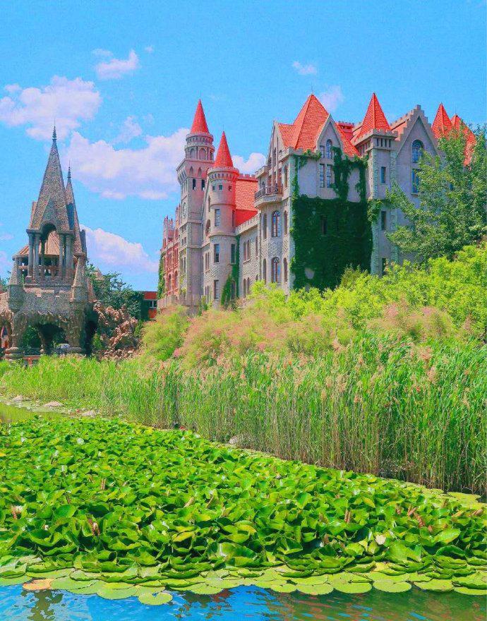 天津奇石公園在哪_天津奇石園_天津奇石館