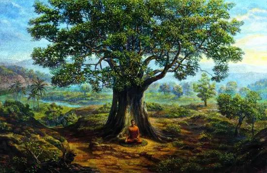 真正的菩提子是哪種_菩提種子是什么顏色_菩提種子是什么意思