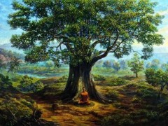 世界上到底有沒有菩提樹？