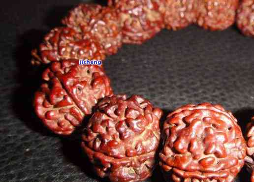 菩提子的品種_菩提子有多少品種_菩提籽品種