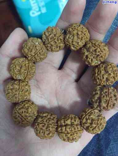 菩提子的品種_菩提籽品種_菩提子有多少品種