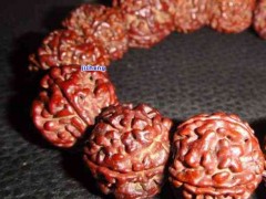 普洱茶泡金剛菩提子真的有效嗎？正確泡法是什么？