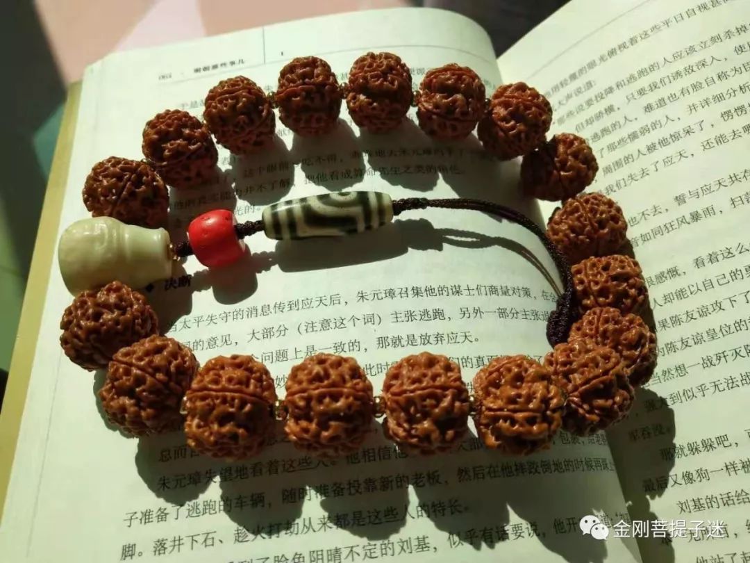 菩提金剛手串幾瓣的好_金剛菩提手串好嗎_金剛菩提手串好評評語