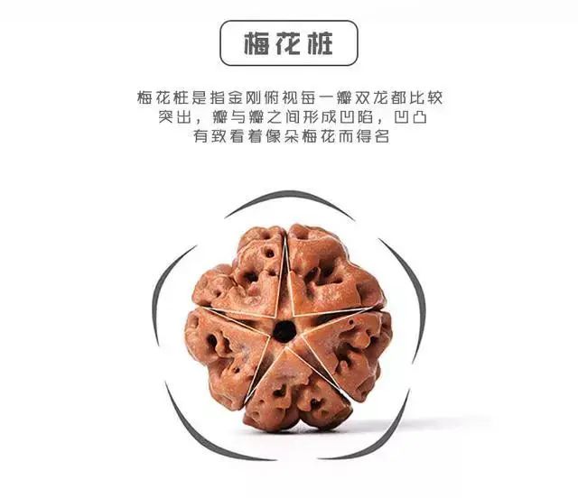 金剛菩提手串好嗎_金剛菩提手串好評評語_菩提金剛手串幾瓣的好