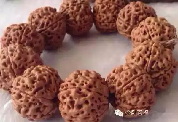 菩提金剛手串幾瓣的好_金剛菩提手串好評評語_金剛菩提手串好嗎
