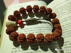 什么價格的金剛菩提能畢業？那要看你兜里有多少銀子！