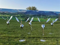 鏡面不銹鋼仙鶴雕塑，定做抽象動物雕塑仙鶴