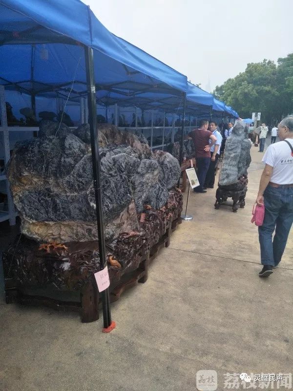 靈璧石原石圖片欣賞_靈璧石原石圖片_靈壁石原石怎么處理