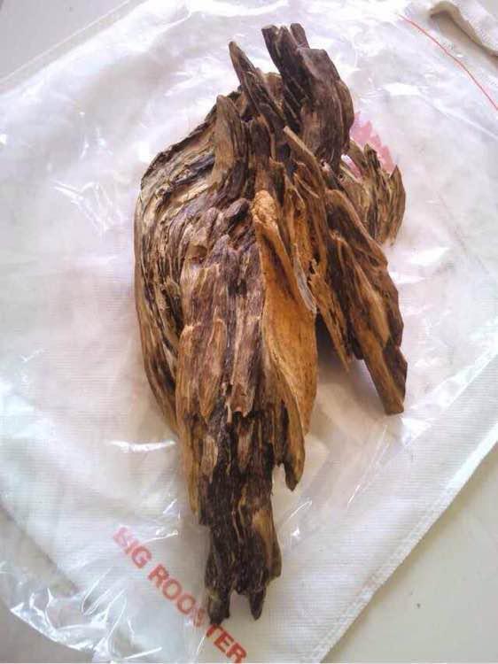 奇楠沉香有幾種_沉香奇楠樹種_沉香種奇楠有香味嗎