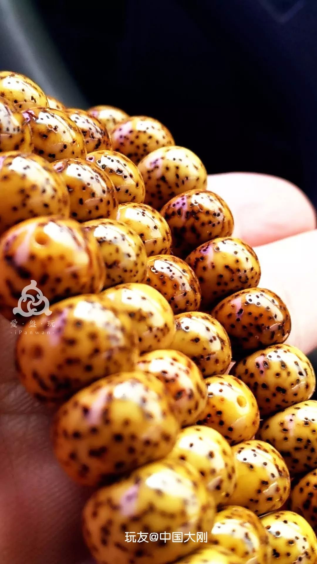 新買一個菩提應該怎么盤_新買的菩提手串怎么盤_菩提手串盤買新的好嗎