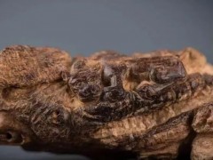 “沉香、茶與人生！”